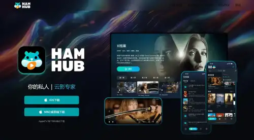 HamHub播放器.webp