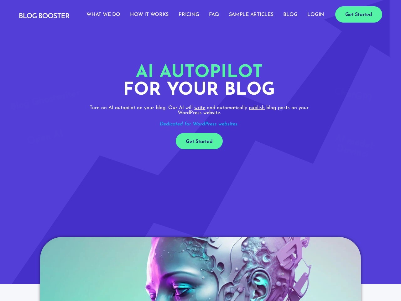 Blog Booster