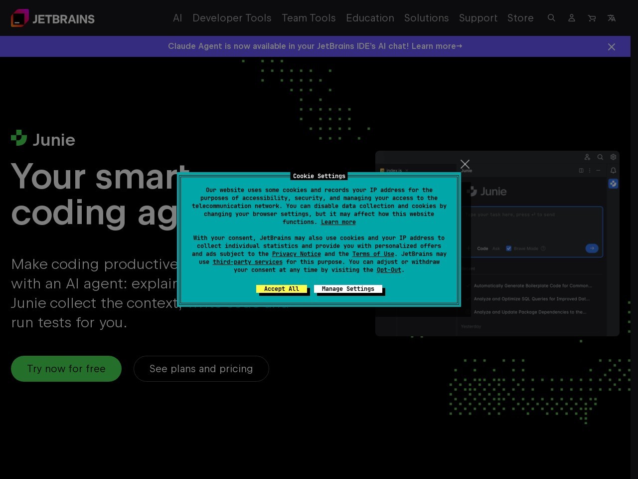 JetBrains AI